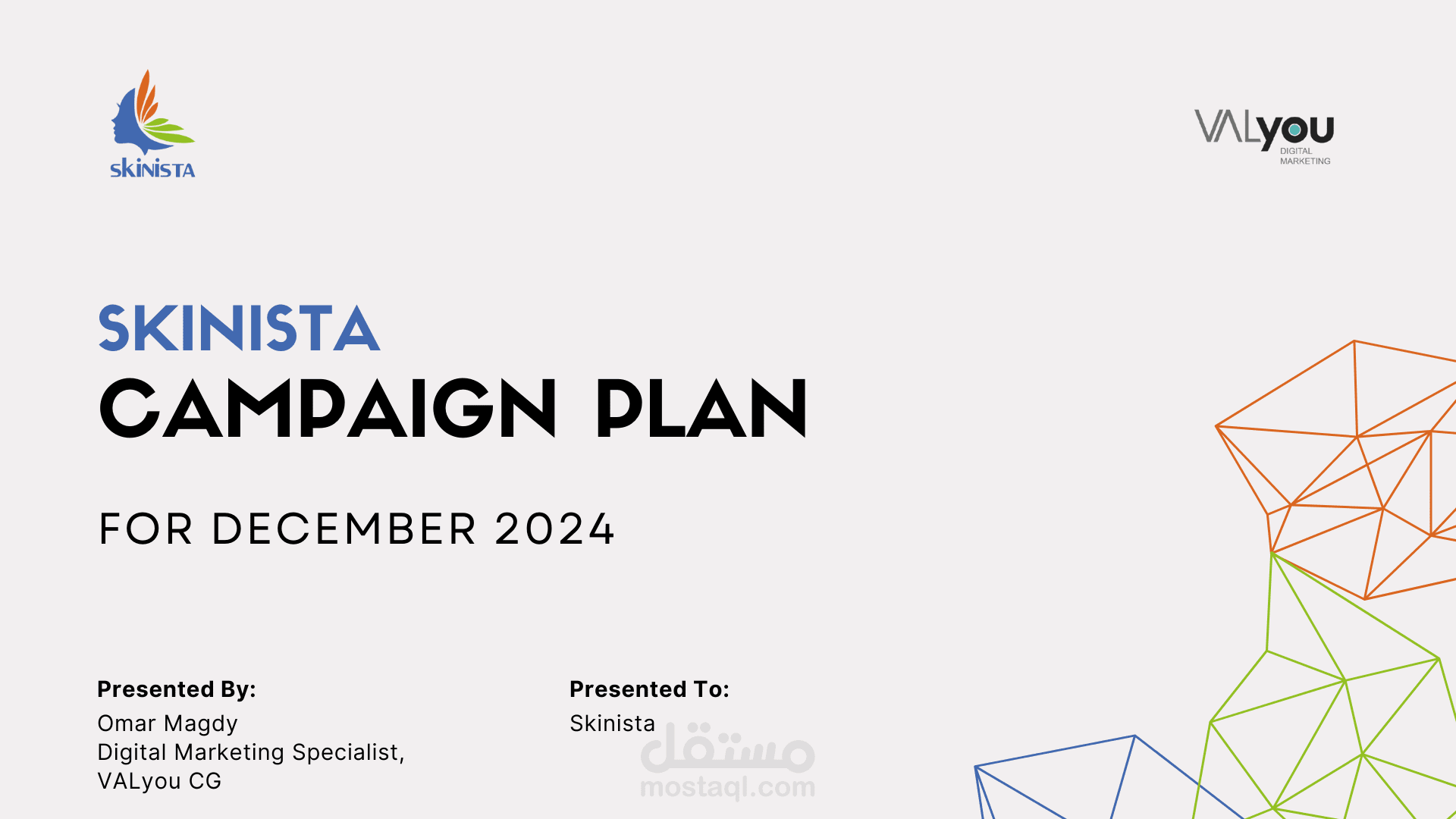 Skinista Campaign Plan For December 2024