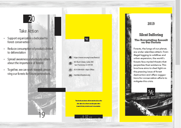 Silent Suffering Brochure