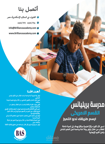 Brilliance School Flyer