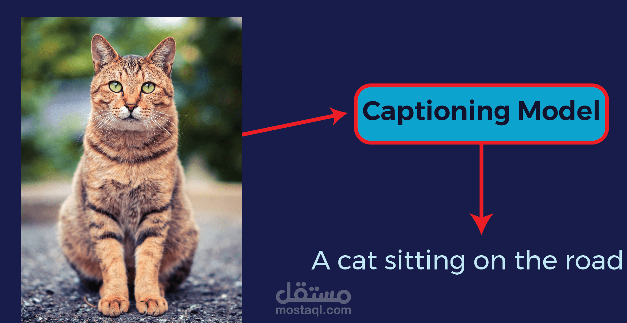 توليد وصف آلي للصور باستخدام التعلم العميق - Automated Image Captioning Using Deep Learning