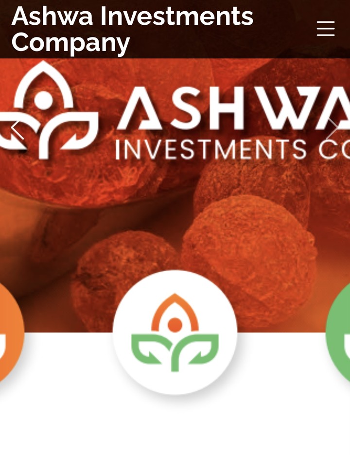 Ashwa Investments Website - Sudan