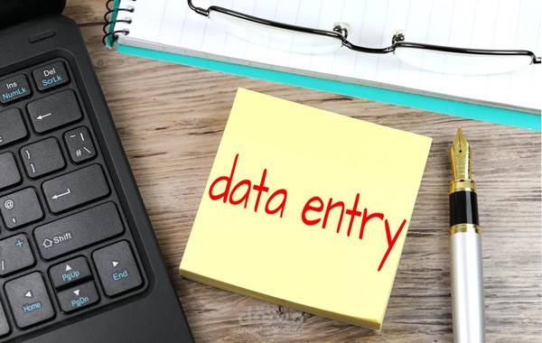 ادخال البيانات (data entry)