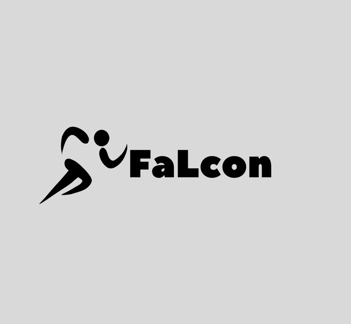 Falcon logo & branding