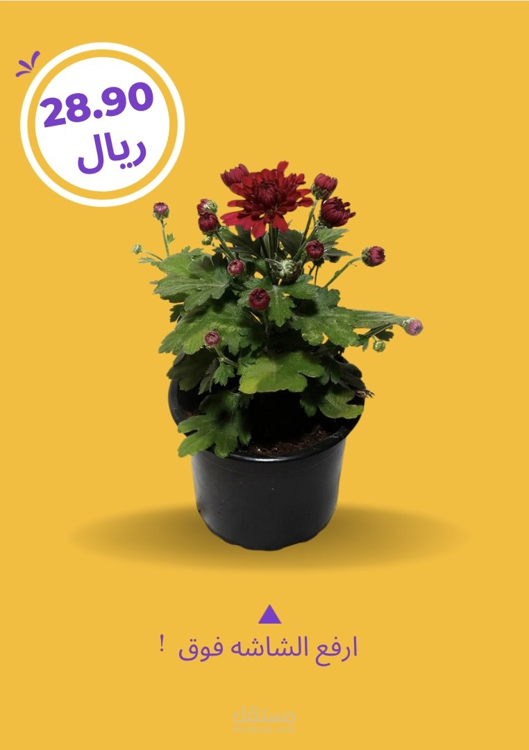 مشروع رسمى على مستقل لموقع سنتر شوب