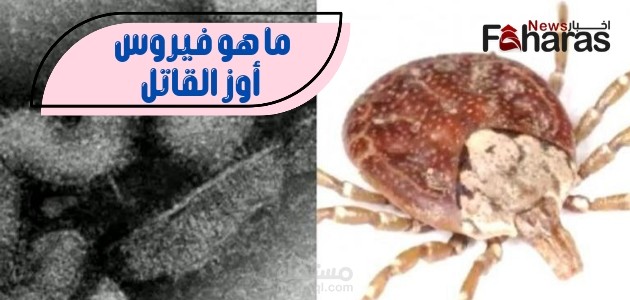فيروس أوز القاتل؛ هل سيعتبر خطر يهدد العالم في عام 2023 بعد تسببه بأول حالة وفاة في اليابان