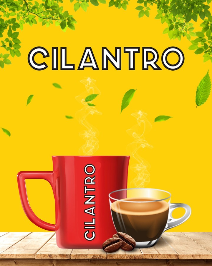 Cilantro