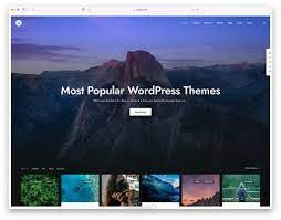 project website wordpress