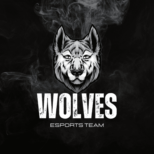 LOGO for esport team