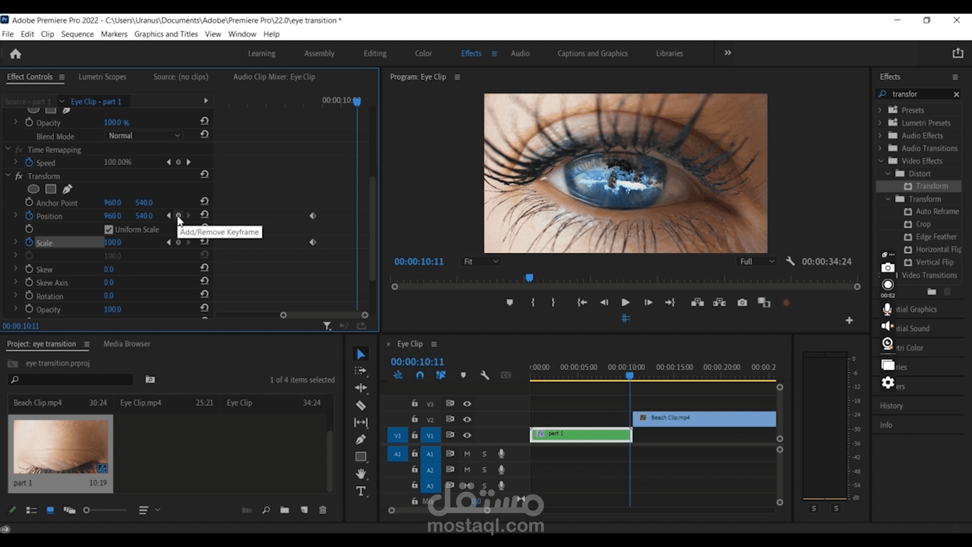 Eye Transition in adobe premiere video editing( تحرير فيديو انتقال العين في برنامج ادوبي بيرمير )