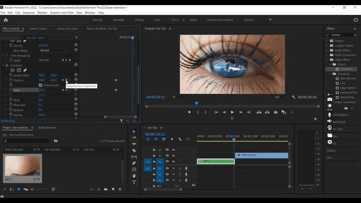 Eye Transition in adobe premiere video editing( تحرير فيديو انتقال العين في برنامج ادوبي بيرمير )