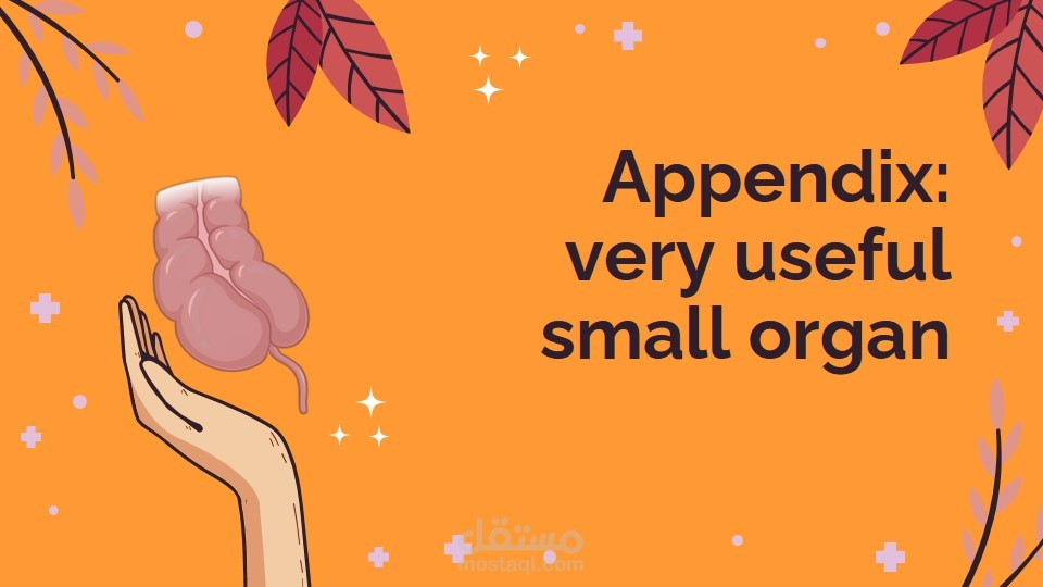 عرض تقديمى حول الزائدة الدودية