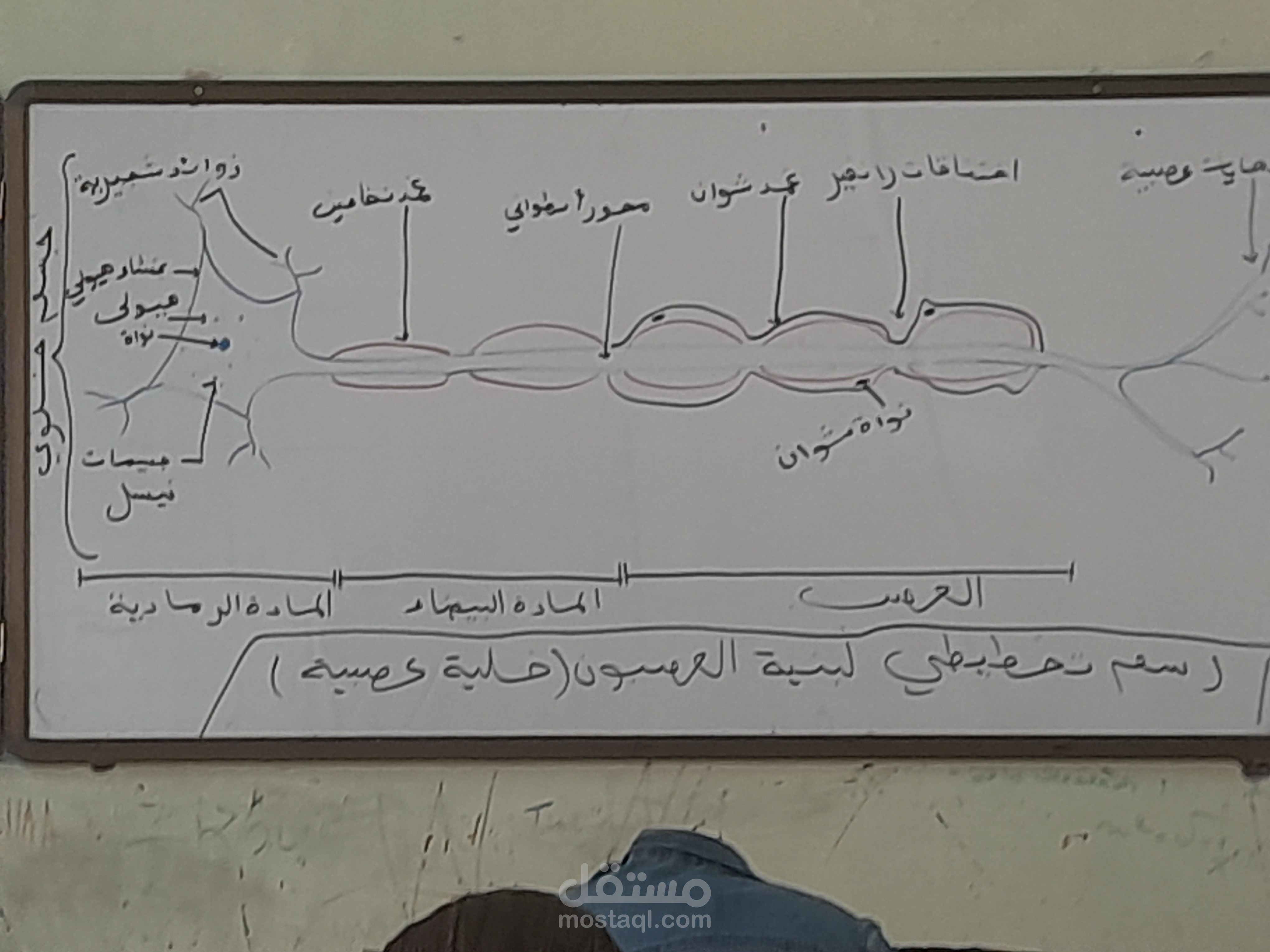 bougaa setif algeia