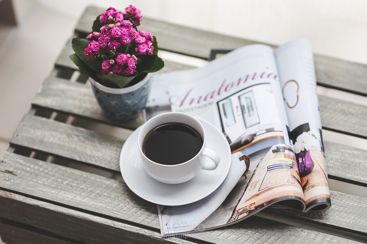 تلخيص كتاب  قصاصات قابلة للحرق