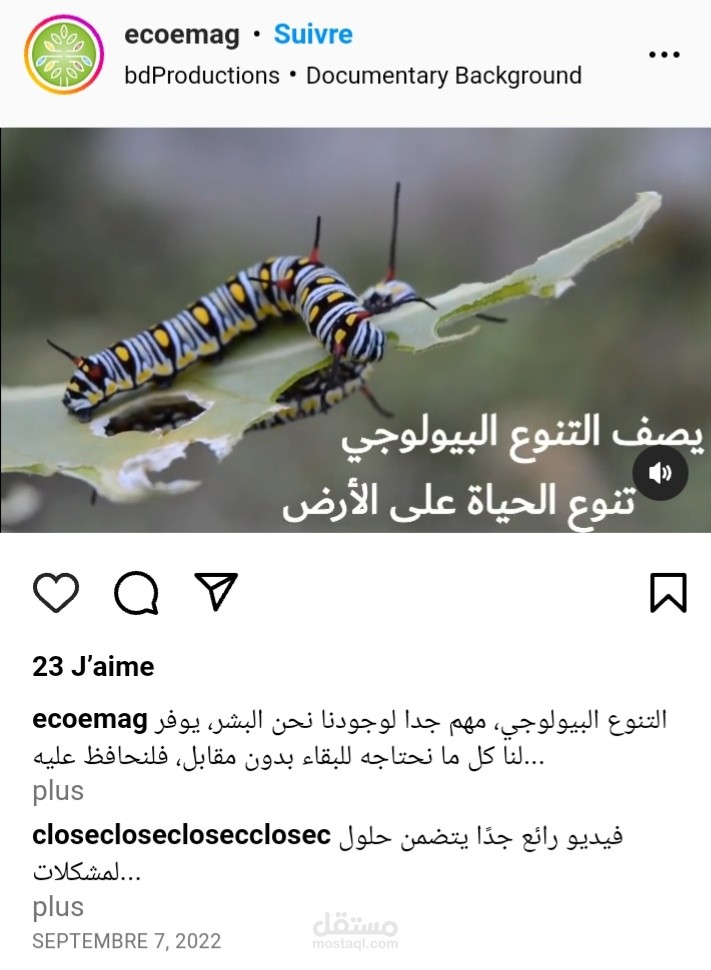 كتابة محتوى فيديو