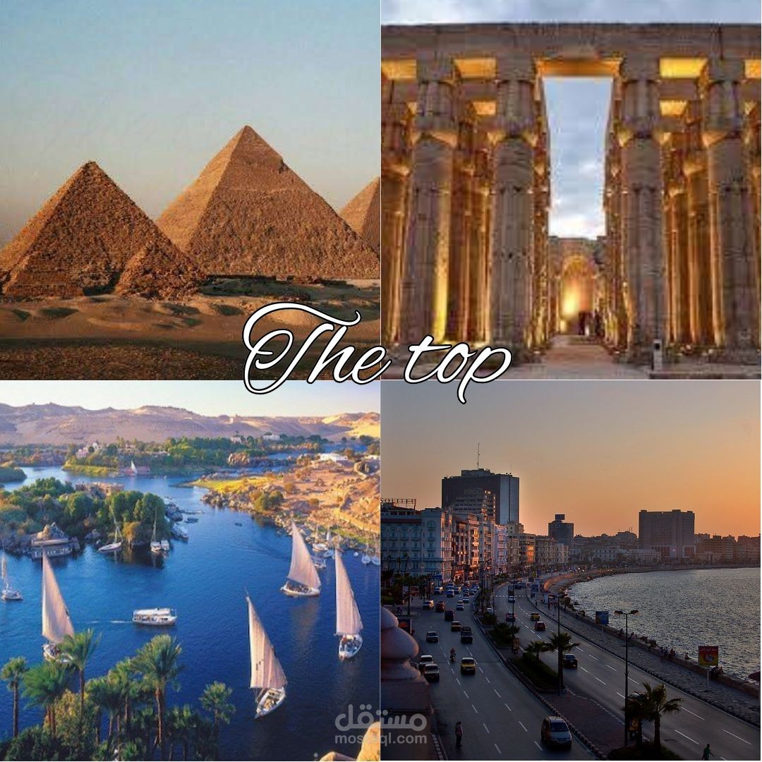 لوجو احترافي لشركة سياحه