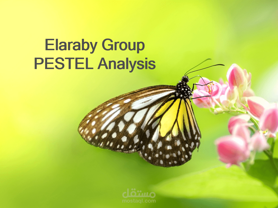 Elaraby Group PESTEL Analysis