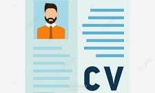 cv احترافي