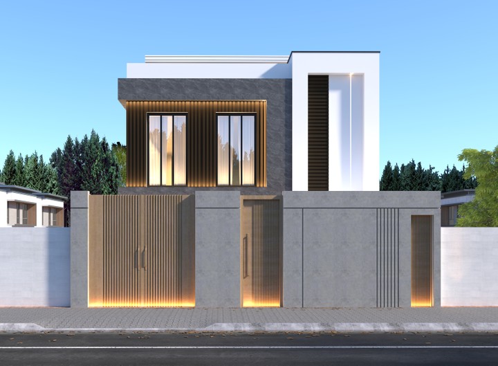 Modern Villa