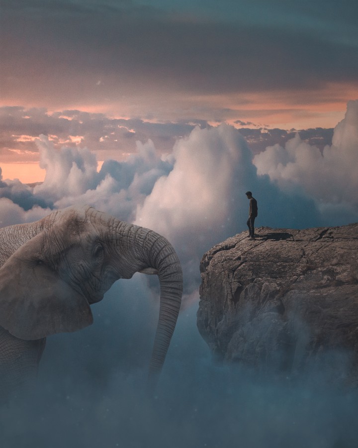 ELEPHANT IN THE SKY