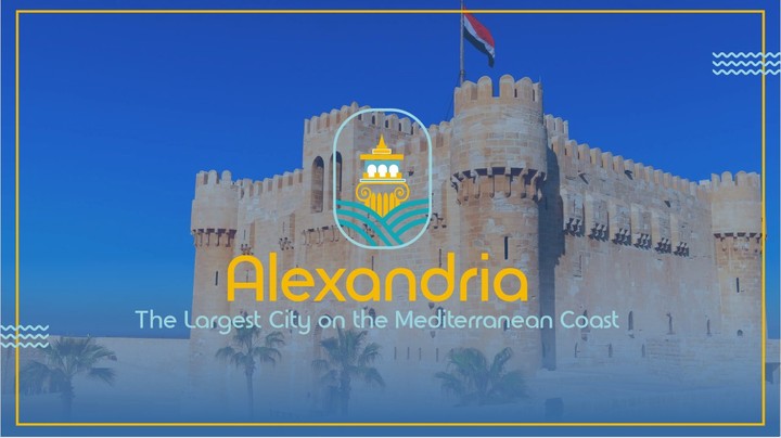 brand identity(Alexandria)