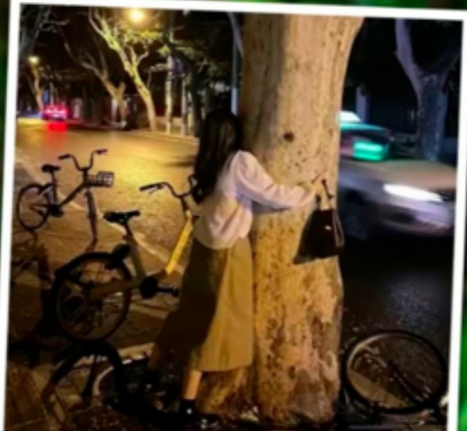 مقالة عناق الأشجار علاج جديد للاكتئاب، إمرأة صينية تروج لعناق الأشجار