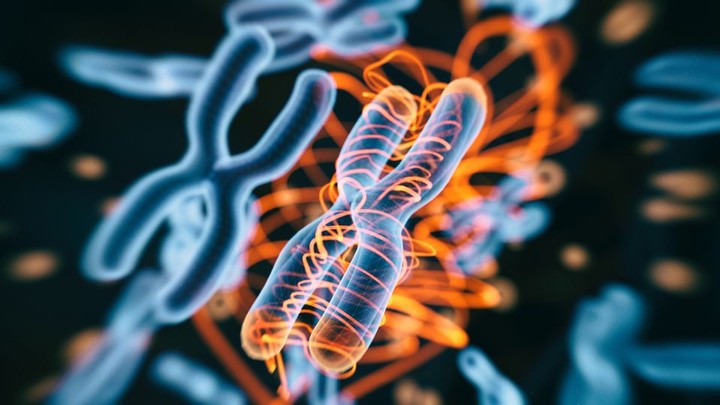 بحث علمي عن Types of RNA