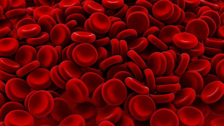 بحث علمي عن Anemia