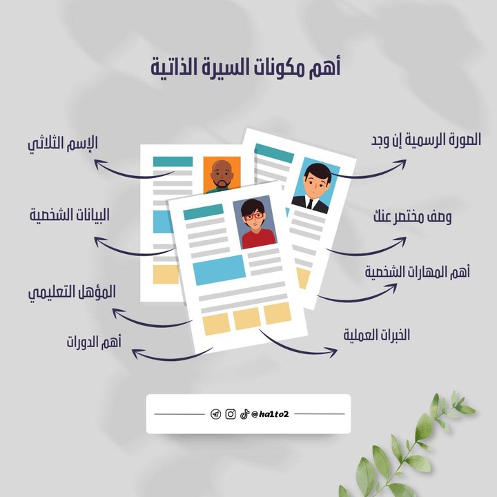 تصميم سيرة ذاتية cv بدقة وأحترافية تبعاً للمعاير العالمية