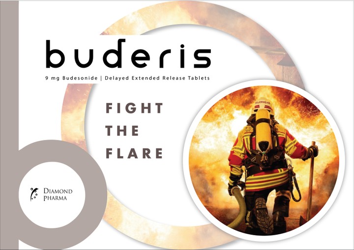 Buderis Brochure