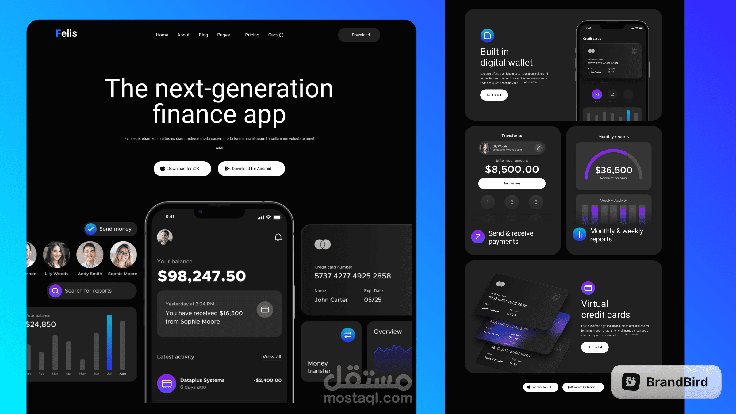 Felis landing page for finance app