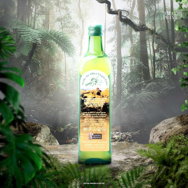 Olive Oil Social media Advertising post design