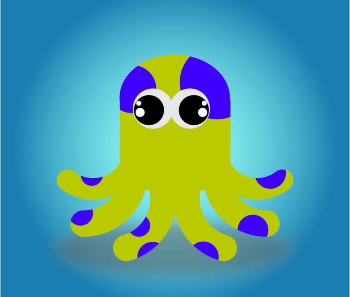 octopus Design