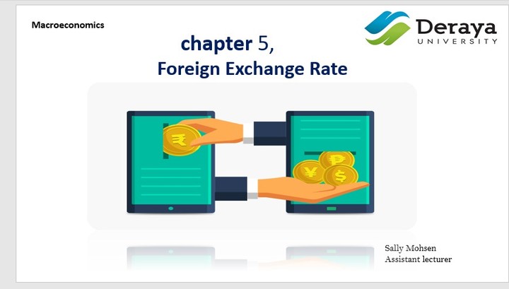 Foreign Exchange Rate