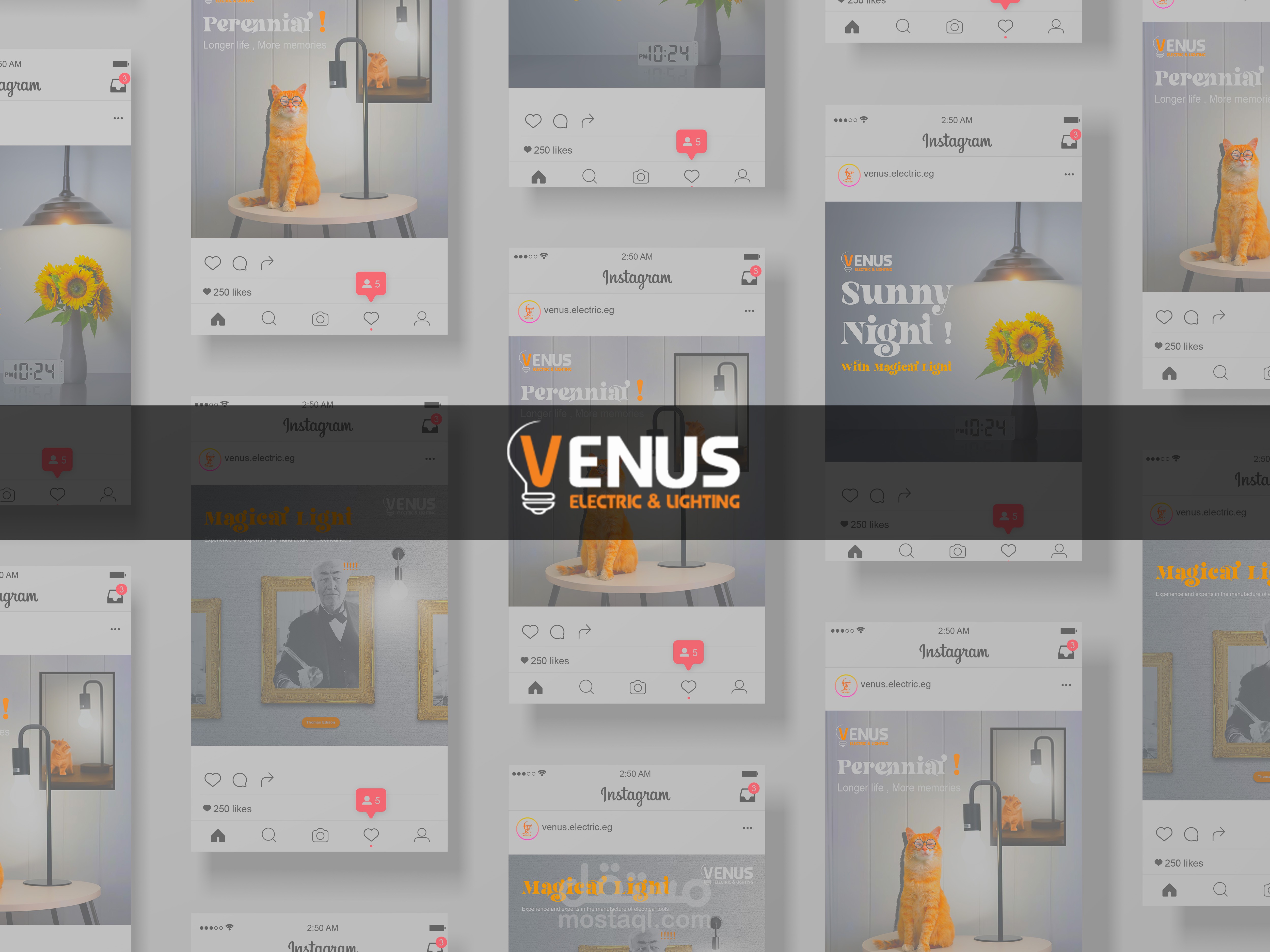 تصميمات سوشيال ميديا - Venus Electric& Lighting Social Media ADS