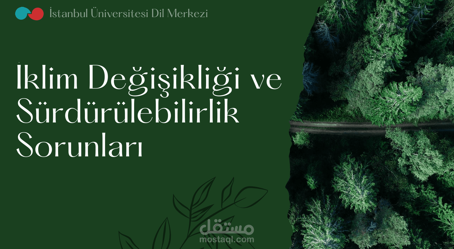 عرض تقديمي إحترافي عن التغيير المناخي باللغة التركية - Professional powerpoint about Climate Change in Turkish