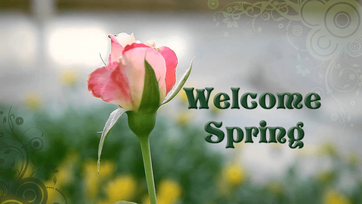 مرحبا بالربيع - Welcome Spring