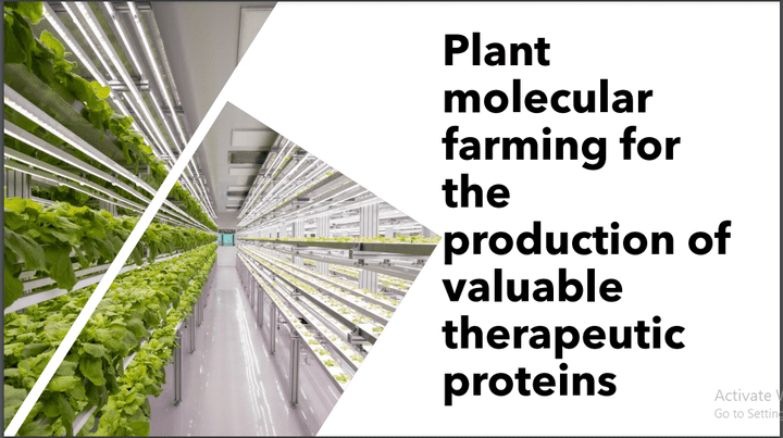 PowerPoint presentation about plant molecular farming