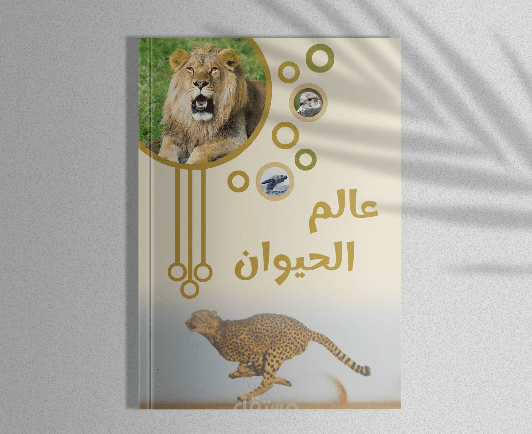 تصميم غلاف لكتابك او مجلتك