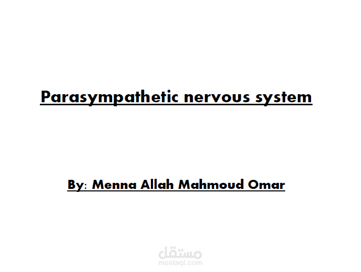Parasympathetic nervous system research