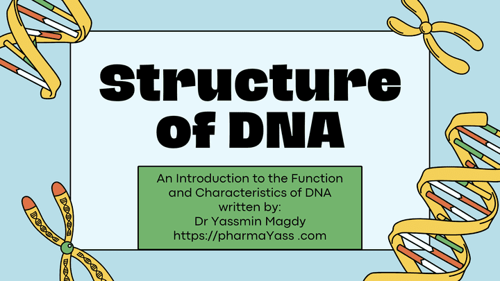 شرح تركيب DNA