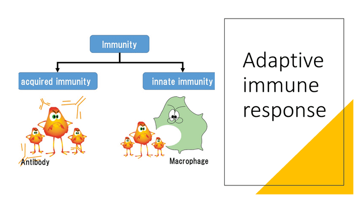 power point microbiology