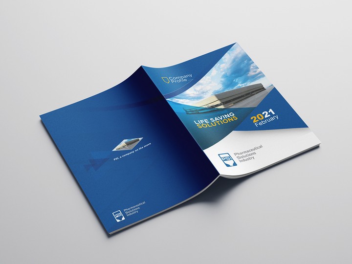 PSI Brochure