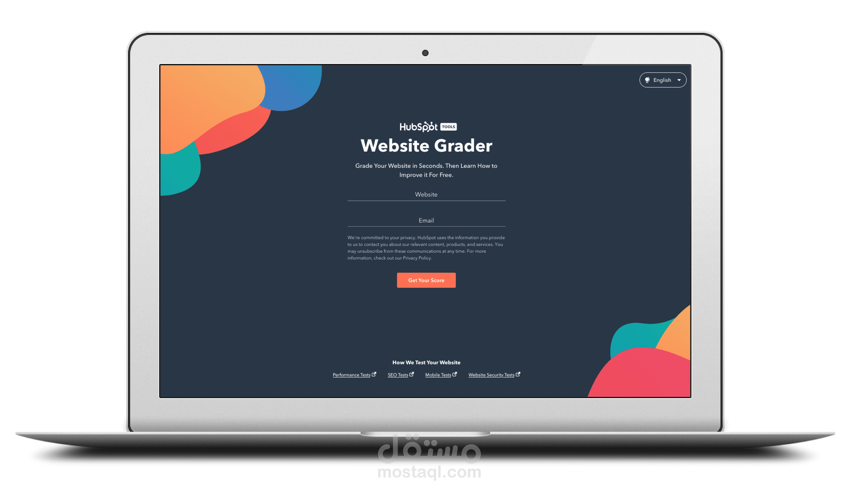 Web design website development 
