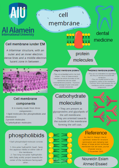 بحث جامعية (بوستر)