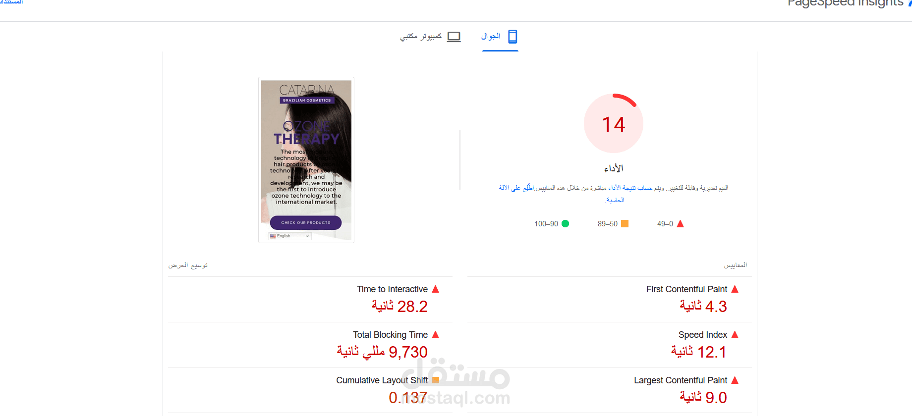 تدقيق سيو شامل  لموقع كاترينا البرازيلى SEO