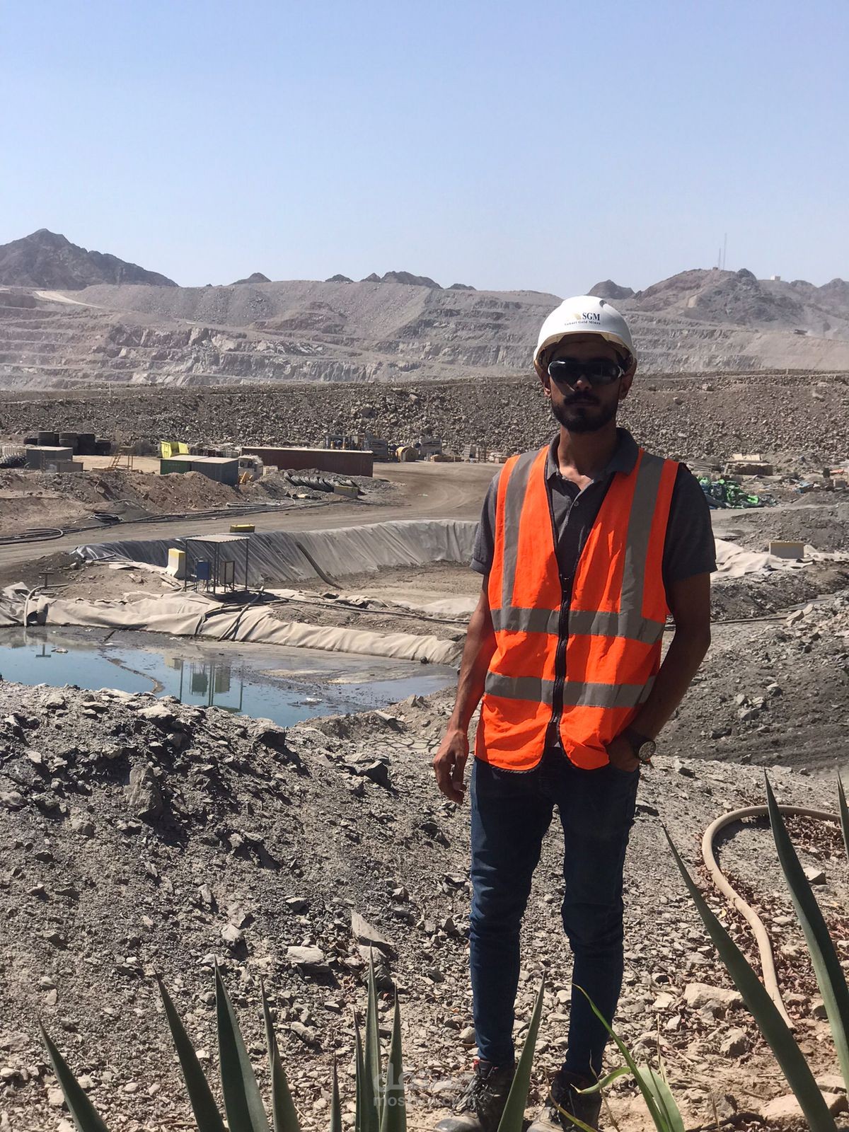Orkin Egypt group