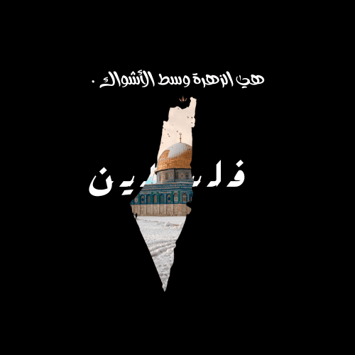 تصميم تيشيرت فلسطين الحرة