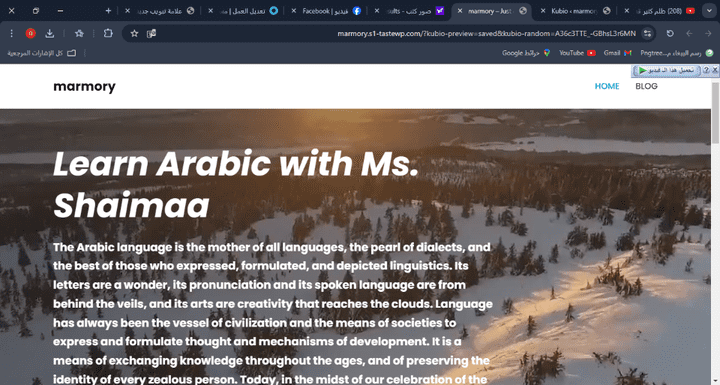 موقع تعليمي تم تنفيذه من علي WordPress