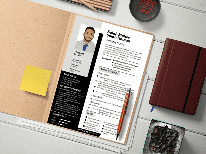 professional CV designing .