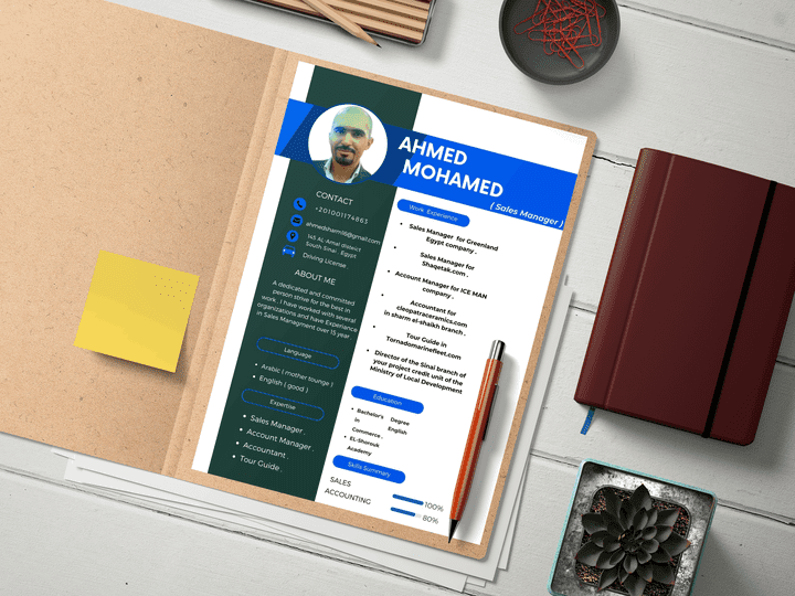 Professional CV design .